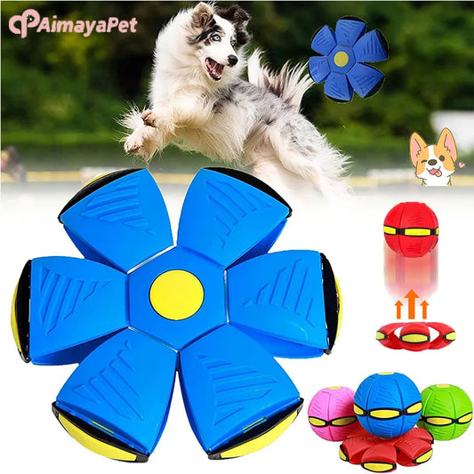 Flying Saucer Training Ball for Dogs (BUY 1 TAKE 1)